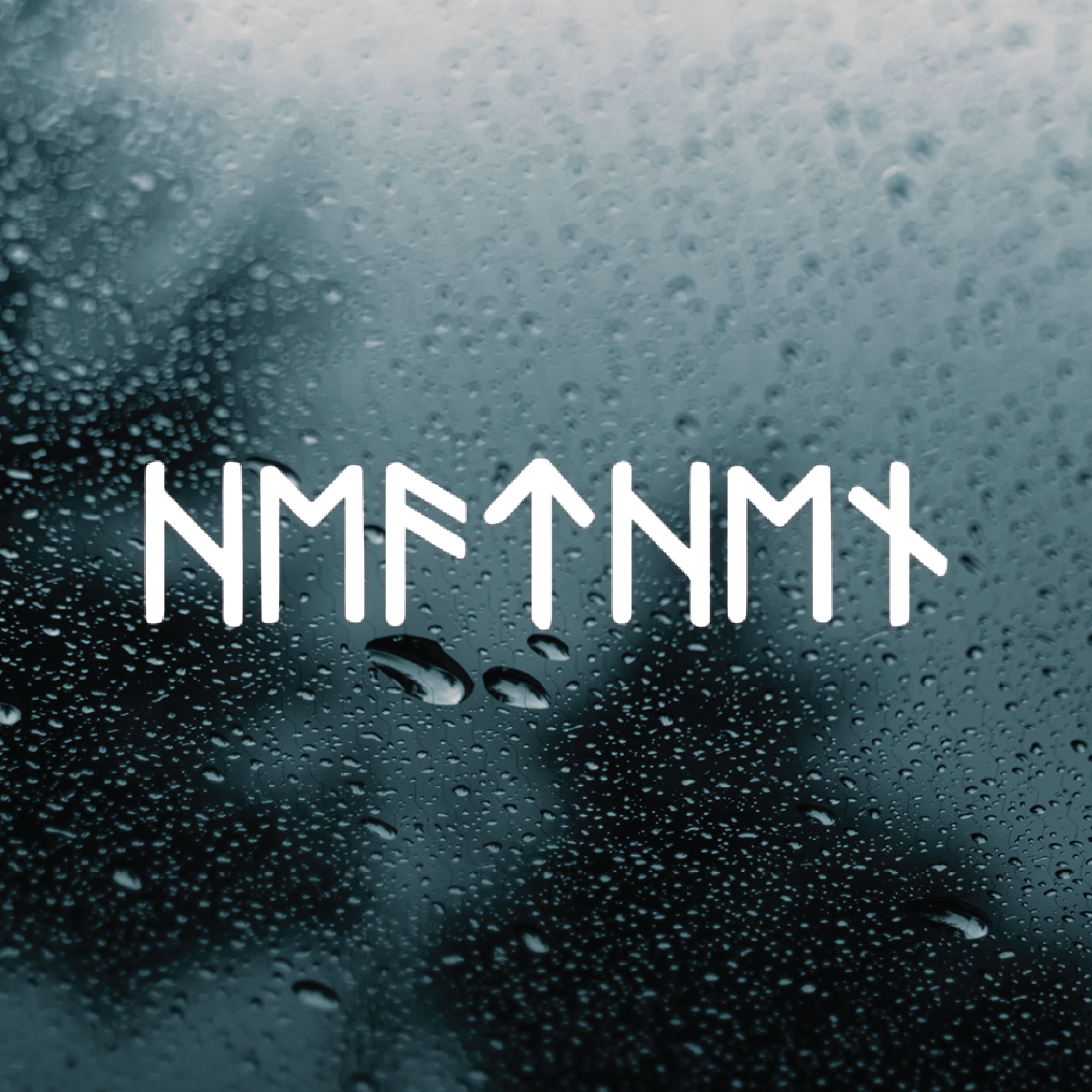 Heathen Runes Vinyl Decal
