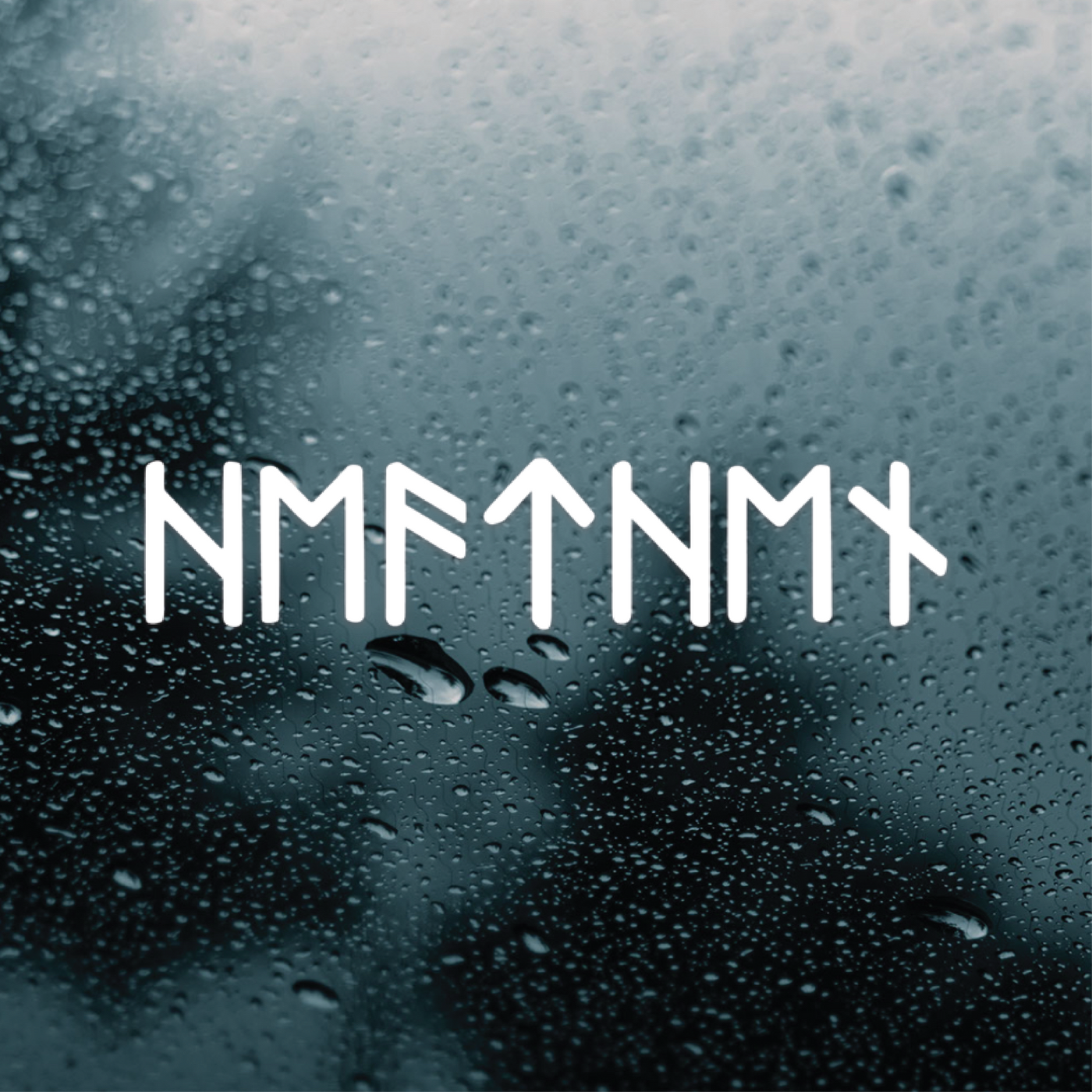 Heathen Runes Vinyl Decal