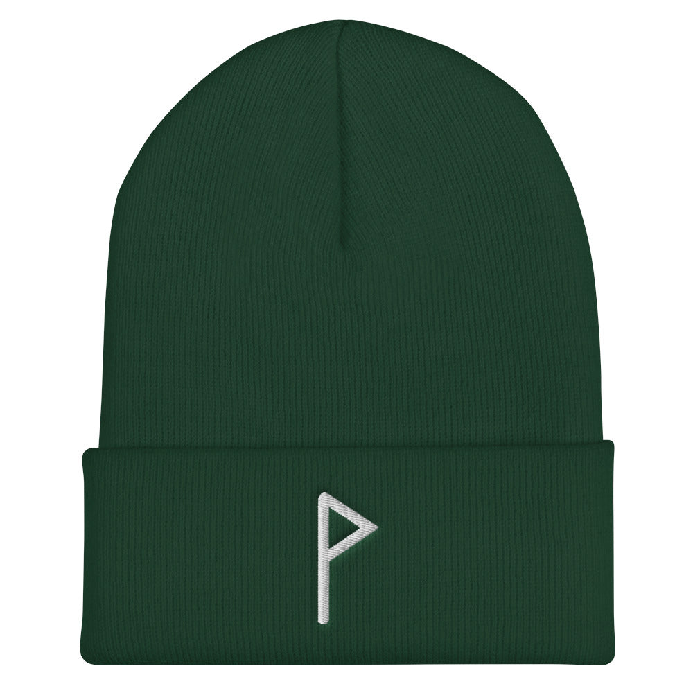 Wunjo (Joy) Viking Rune Embroidered Beanie Scandinavian Design Studio
